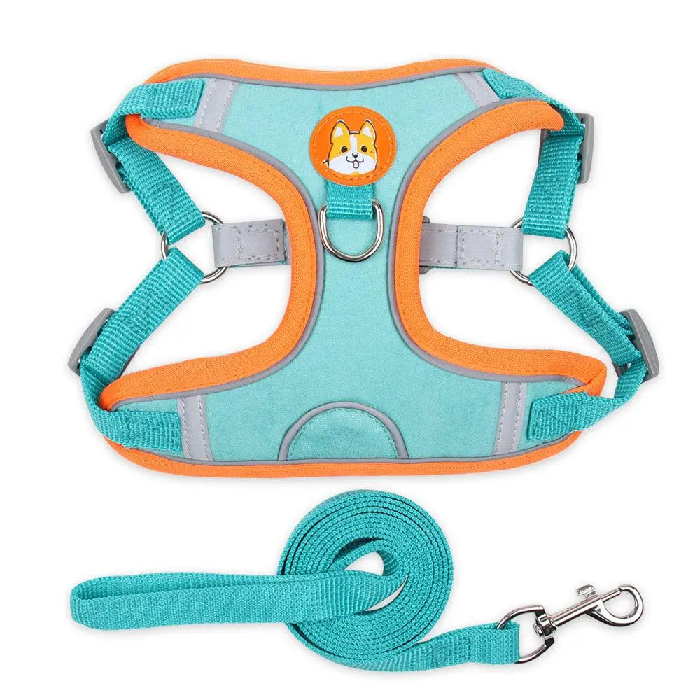 Reflective breathable pet harness in turquoise and orange with leash for comfort and safety