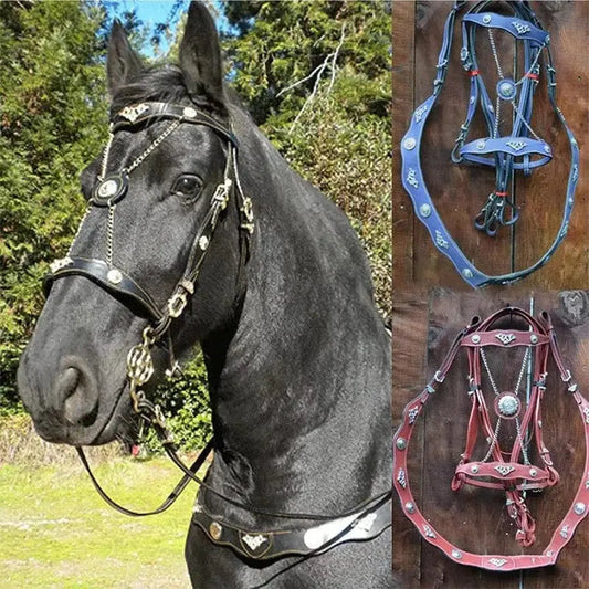 Black horse wearing EquiElite PU leather halter with matching reins and decorative metal accents, alongside blue and red leather halters displayed on wooden background.