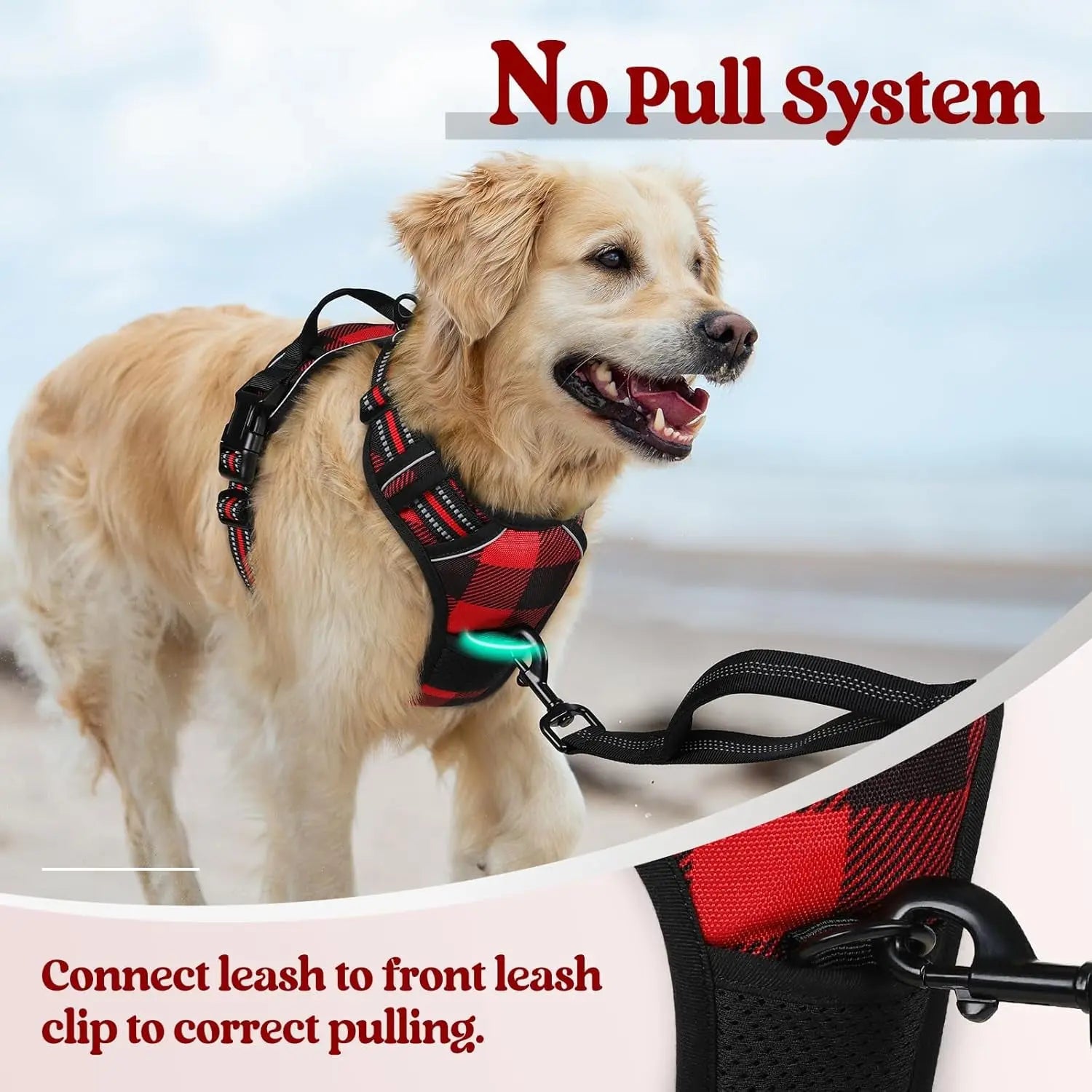 Rabbitgoo Dog Harness No Pull with 2 Leash Clips GLOBEGOU CO.,LTD