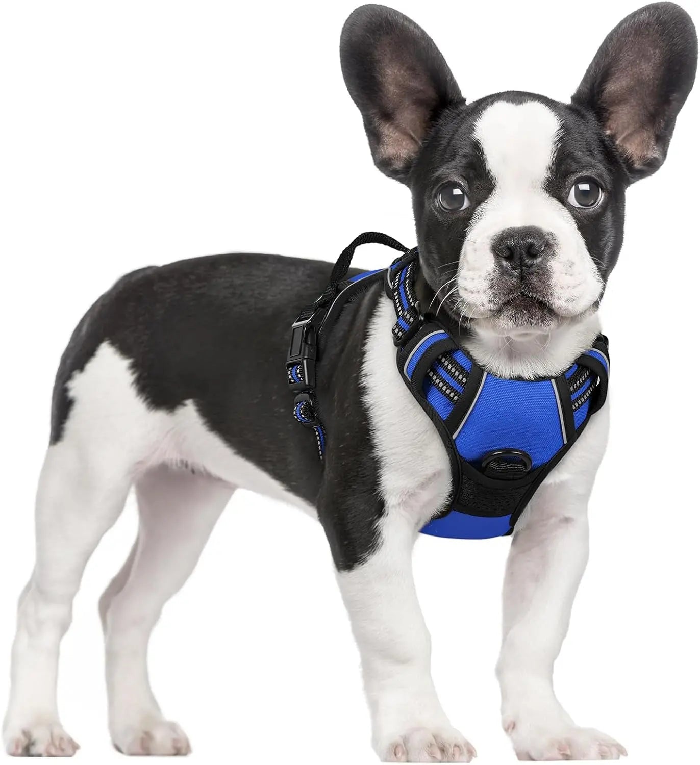 GLOBEGOU CO.,LTD Rabbitgoo Large Dog Harness No Pull Adjustable Soft Padded Vest Reflective Oxford Material Red Plaid Dual Leash Clips - Animals & Pet Supplies > Pet Supplies > Pet Collars & Harnesses Dog