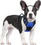 GLOBEGOU CO.,LTD Rabbitgoo Large Dog Harness No Pull Adjustable Soft Padded Vest Reflective Oxford Material Red Plaid Dual Leash Clips - Animals & Pet Supplies > Pet Supplies > Pet Collars & Harnesses Dog