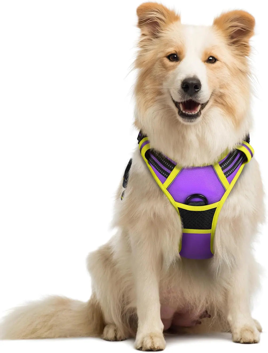 Rabbitgoo Dog Harness No Pull with 2 Leash Clips GLOBEGOU CO.,LTD
