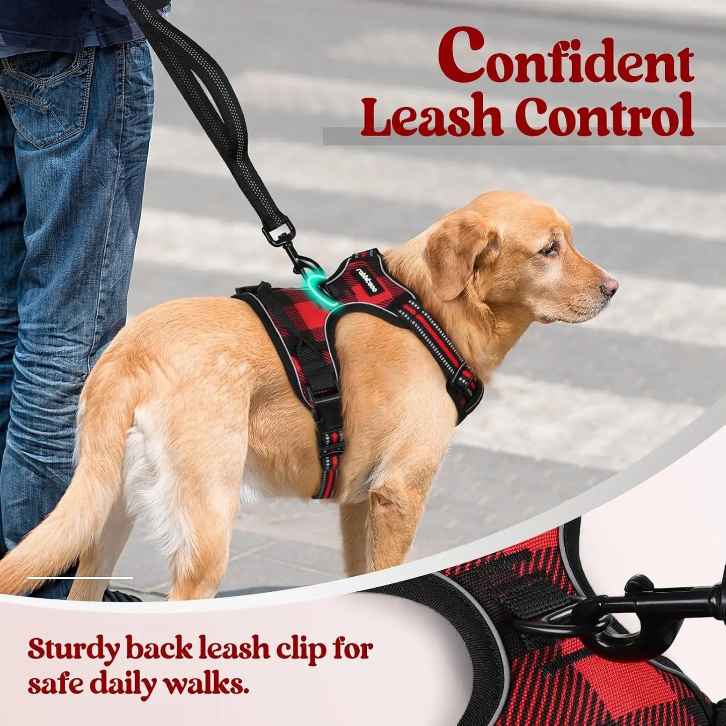 Rabbitgoo Dog Harness No Pull with 2 Leash Clips GLOBEGOU CO.,LTD