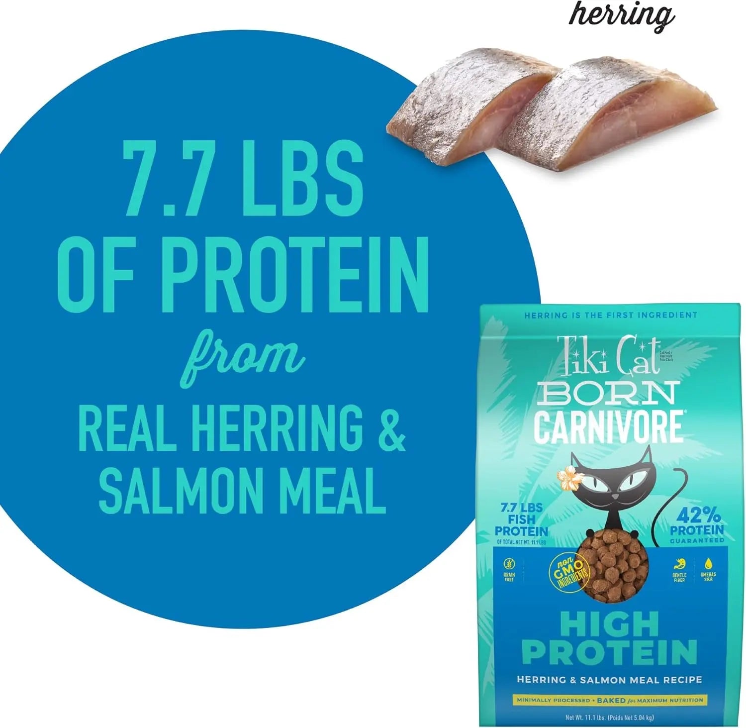 Tiki Cat Born Carnivore High Protein Dry Cat Food, Herring & Salmon Meal, 11.1 Lbs. Bag Excel Pets