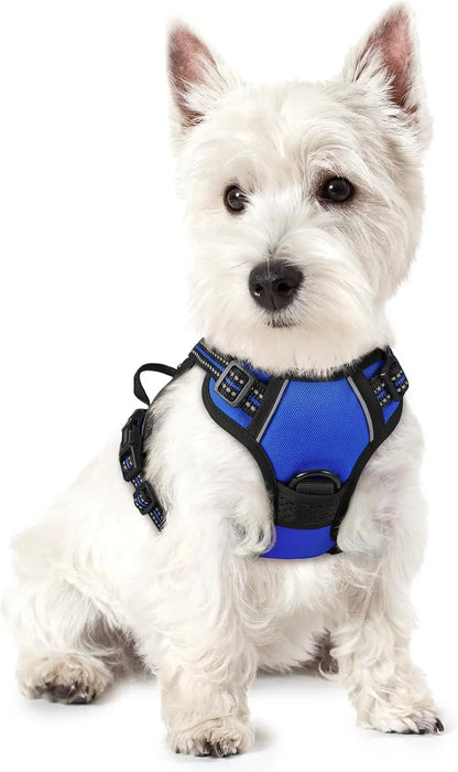Rabbitgoo Dog Harness No Pull with 2 Leash Clips GLOBEGOU CO.,LTD