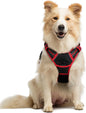 GLOBEGOU CO.,LTD Rabbitgoo Large Dog Harness No Pull Adjustable Soft Padded Vest Reflective Oxford Material Red Plaid Dual Leash Clips - Animals & Pet Supplies > Pet Supplies > Pet Collars & Harnesses Dog