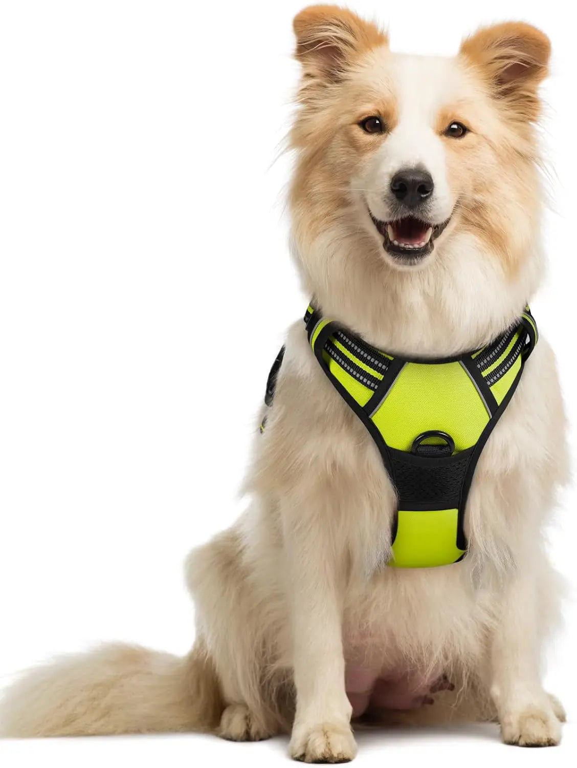 GLOBEGOU CO.,LTD Rabbitgoo Large Dog Harness No Pull Adjustable Soft Padded Vest Reflective Oxford Material Red Plaid Dual Leash Clips - Animals & Pet Supplies > Pet Supplies > Pet Collars & Harnesses Dog