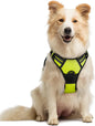 GLOBEGOU CO.,LTD Rabbitgoo Large Dog Harness No Pull Adjustable Soft Padded Vest Reflective Oxford Material Red Plaid Dual Leash Clips - Animals & Pet Supplies > Pet Supplies > Pet Collars & Harnesses Dog