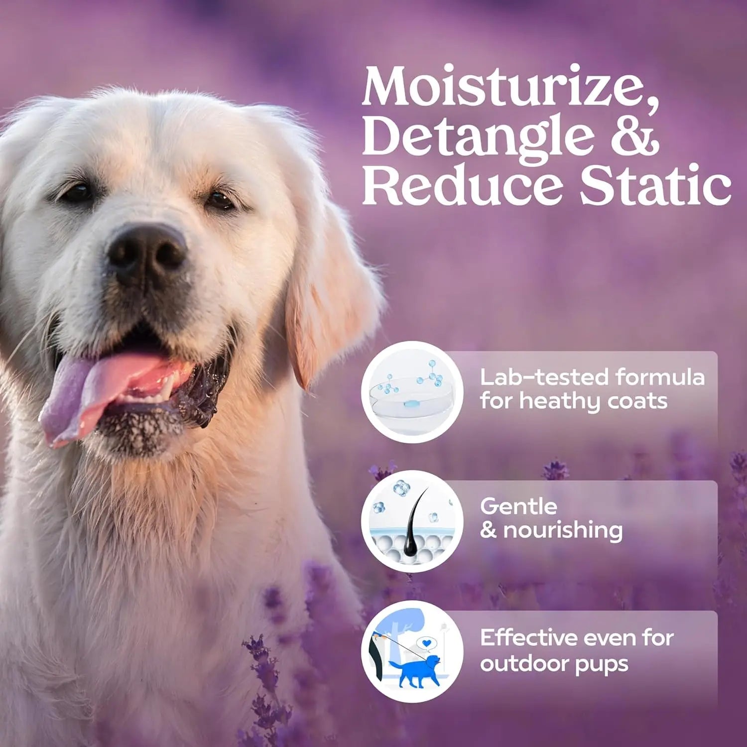 PAWFUME Detangling Dog Grooming Spray, Royal Lavender, 1-Pack – Keeps Pups Fresh All Day – Hypoallergenic, Alcohol-Free, Detangling & Moisturizing – Salon-Quality Dog Necessities for Coat & Fur Care Excel Pets