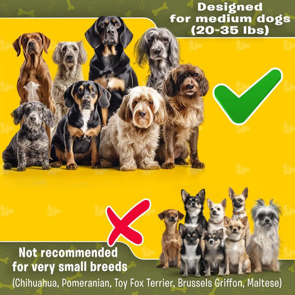 Pet Dreamland Pet Dreamland Exquisite Hands Free Double Dog Leash for Two Dogs With Tangle Free Swivel - Animals & Pet Supplies > Pet Supplies > Pet Leashes > Double Pet Leashes Dog