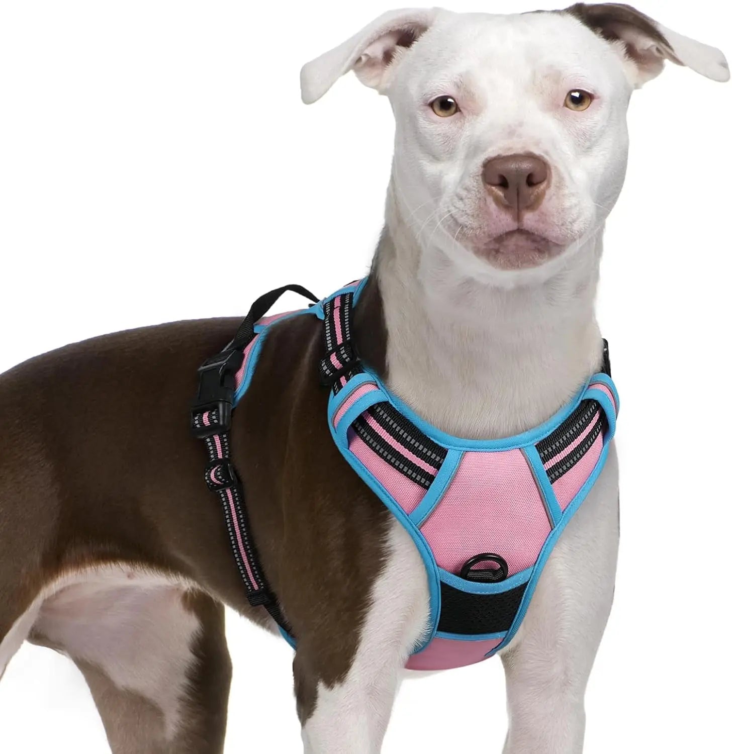 GLOBEGOU CO.,LTD Rabbitgoo Large Dog Harness No Pull Adjustable Soft Padded Vest Reflective Oxford Material Red Plaid Dual Leash Clips - Animals & Pet Supplies > Pet Supplies > Pet Collars & Harnesses Dog