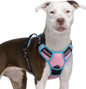 GLOBEGOU CO.,LTD Rabbitgoo Large Dog Harness No Pull Adjustable Soft Padded Vest Reflective Oxford Material Red Plaid Dual Leash Clips - Animals & Pet Supplies > Pet Supplies > Pet Collars & Harnesses Dog