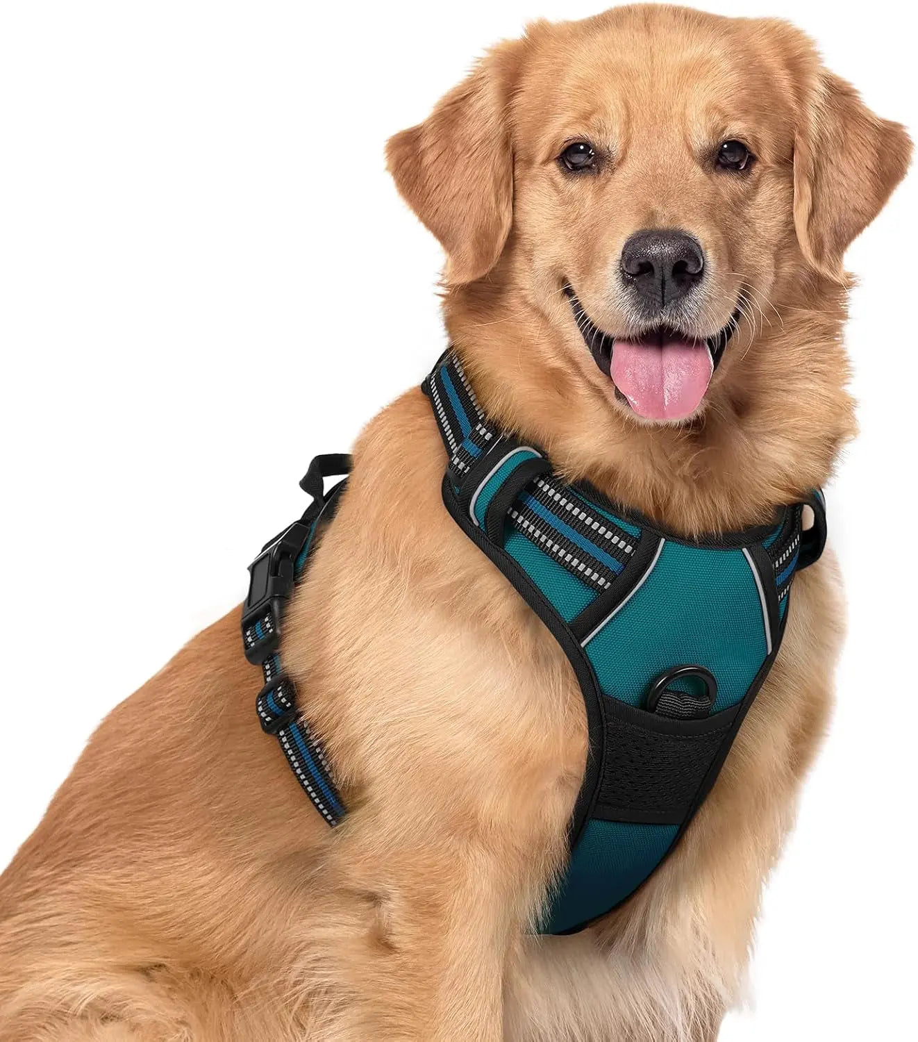 Rabbitgoo Dog Harness No Pull with 2 Leash Clips GLOBEGOU CO.,LTD