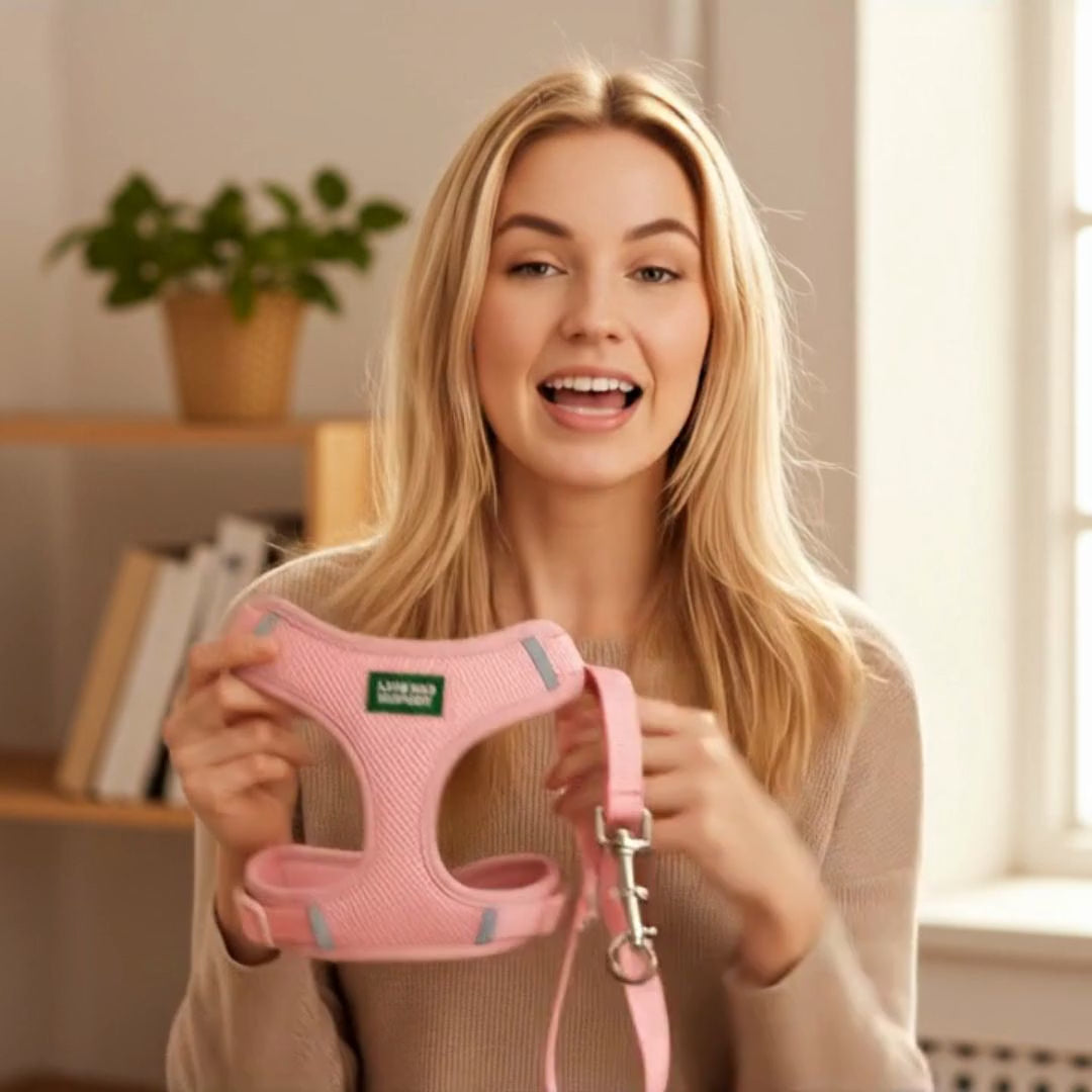 Load video: different variants of the product shown with examples on a cute dog.